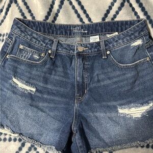 Time and Tru Dark Blue Distressed Jean Shorts